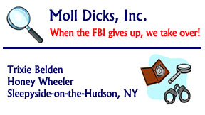 Moll Dicks, Inc. business card