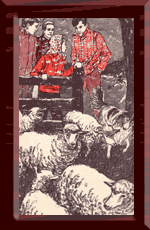 Calling in the sheep before the storm.